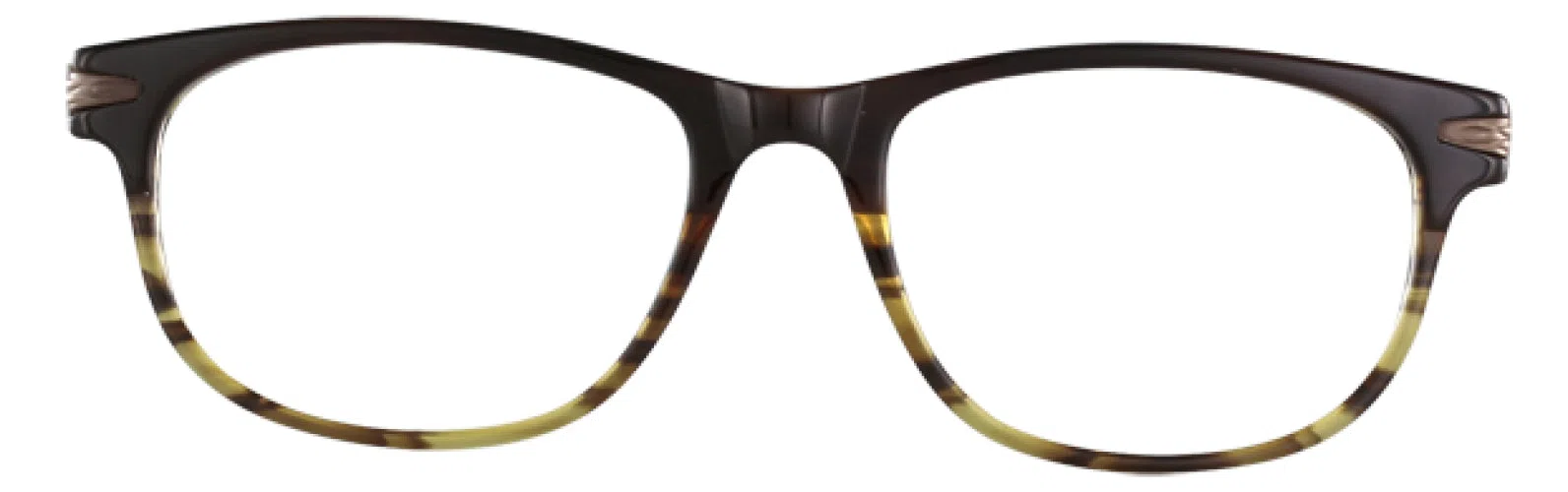 Randy Jackson RJ3034 Eyeglasses - Brownfade - view 5